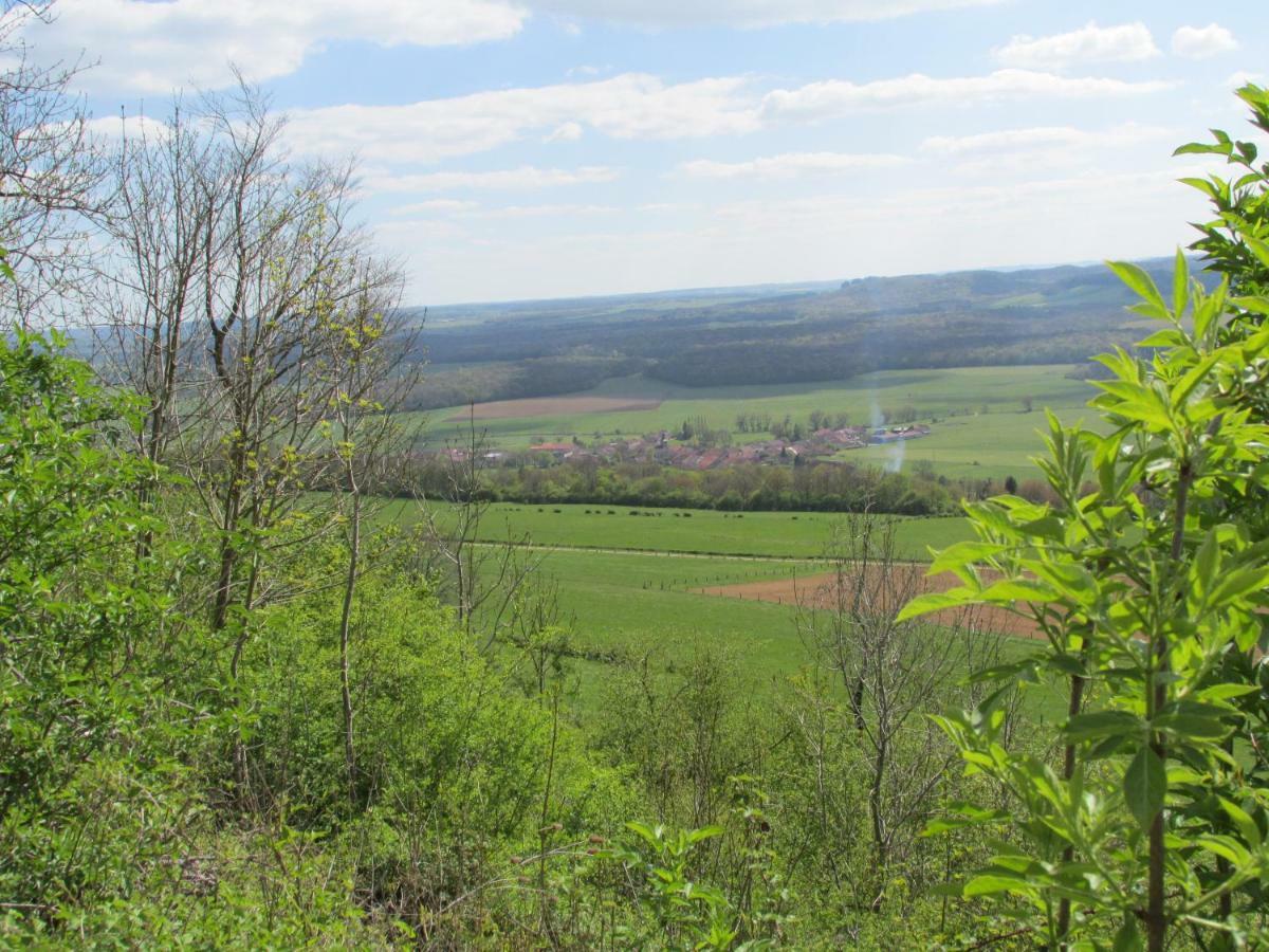 Soulaucourt-sur-Mouzon La Taniere Douce B&B 외부 사진