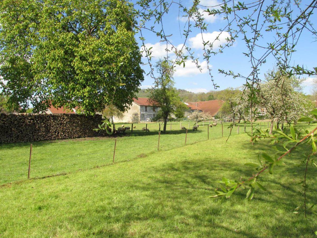 Soulaucourt-sur-Mouzon La Taniere Douce B&B 외부 사진